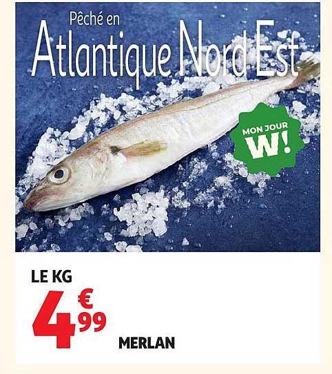 Pêché en Atlantique Nord Est