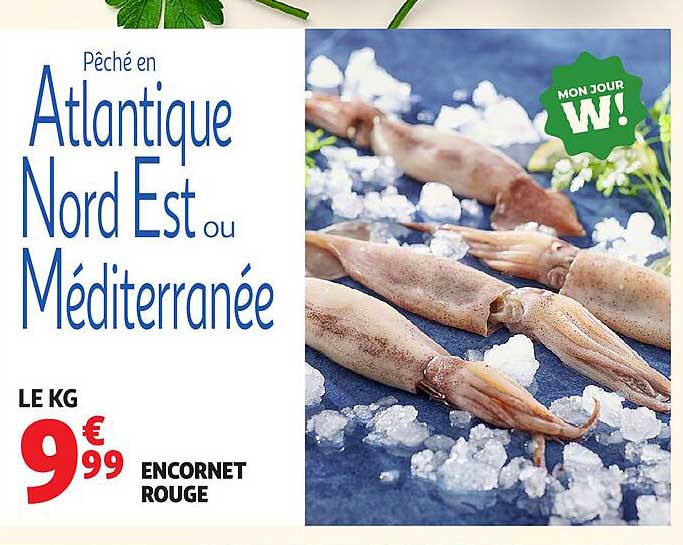 Pêché en Atlantique Nord Est ou Méditerranée
