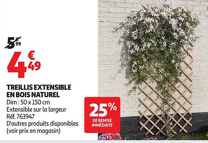 TREILLIS EXTENSIBLE EN BOIS NATUREL