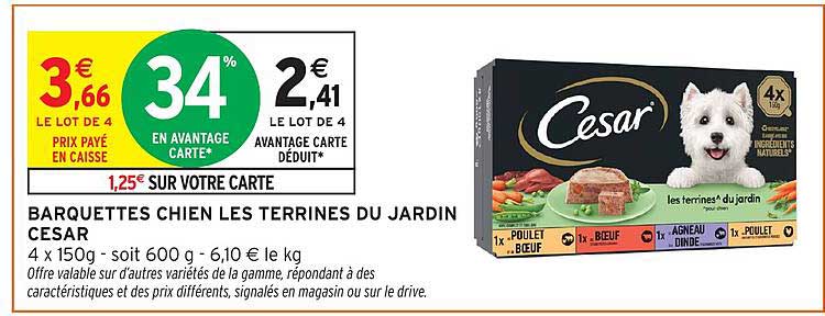 BARQUETTES CHIEN LES TERRINES DU JARDIN CESAR