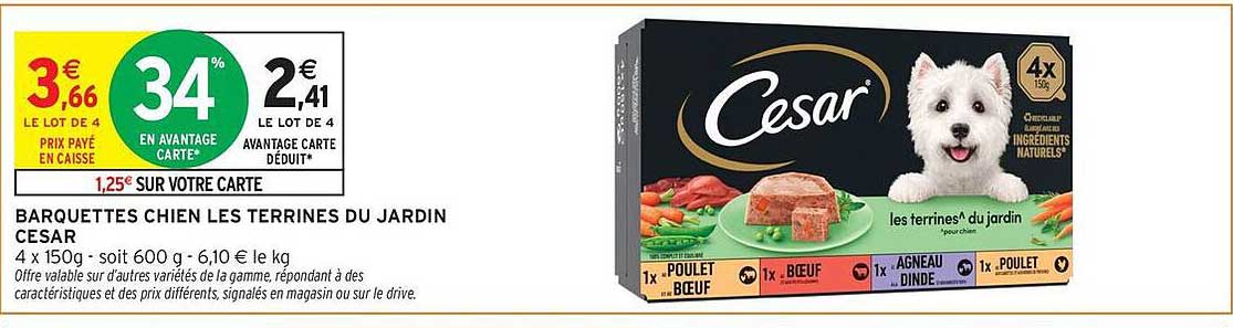 BARQUETTES CHIEN LES TERRINES DU JARDIN CESAR