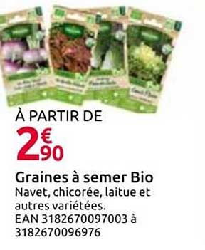 À PARTIR DE GRAINES À SEMER Bio Navet, chicorée, laitue et autres variétés.