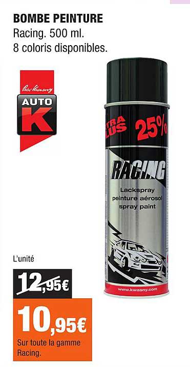 BOMBE PEINTURE