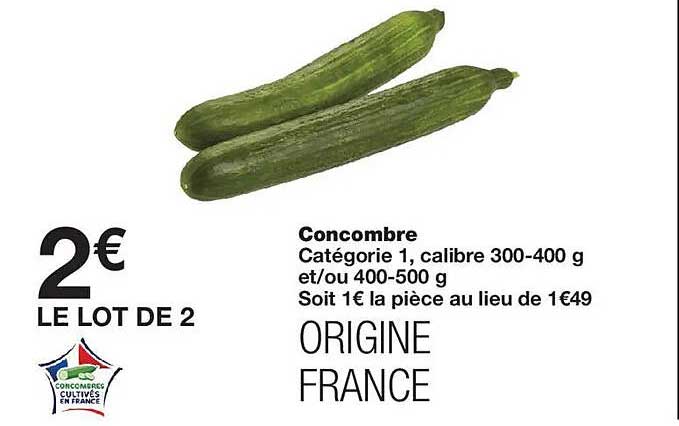 Concombre