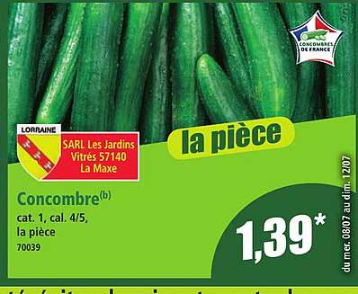 Concombre(b)
