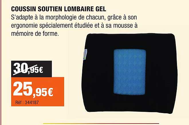 COUSSIN SOUTIEN LOMBAIRE GEL