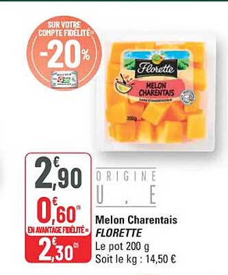 Melon Charentais FLORETTE