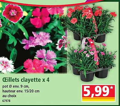Œillets clayette x 4