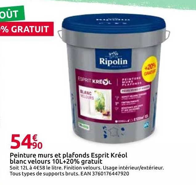 Peinture murs et plafonds Esprit Kréol blanc velours 10L+20% gratuit