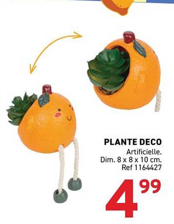 PLANTE DECO