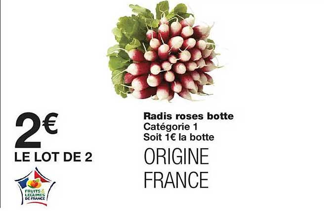 Radis roses botte