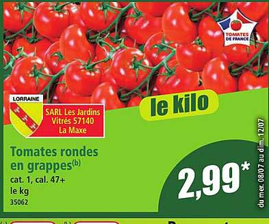 Tomates rondes en grappes(b)