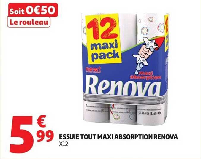 ESSUIE TOUT MAXI ABSORPTION RENOVA X12