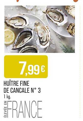 HUITRE FINE DE CANCale N° 3