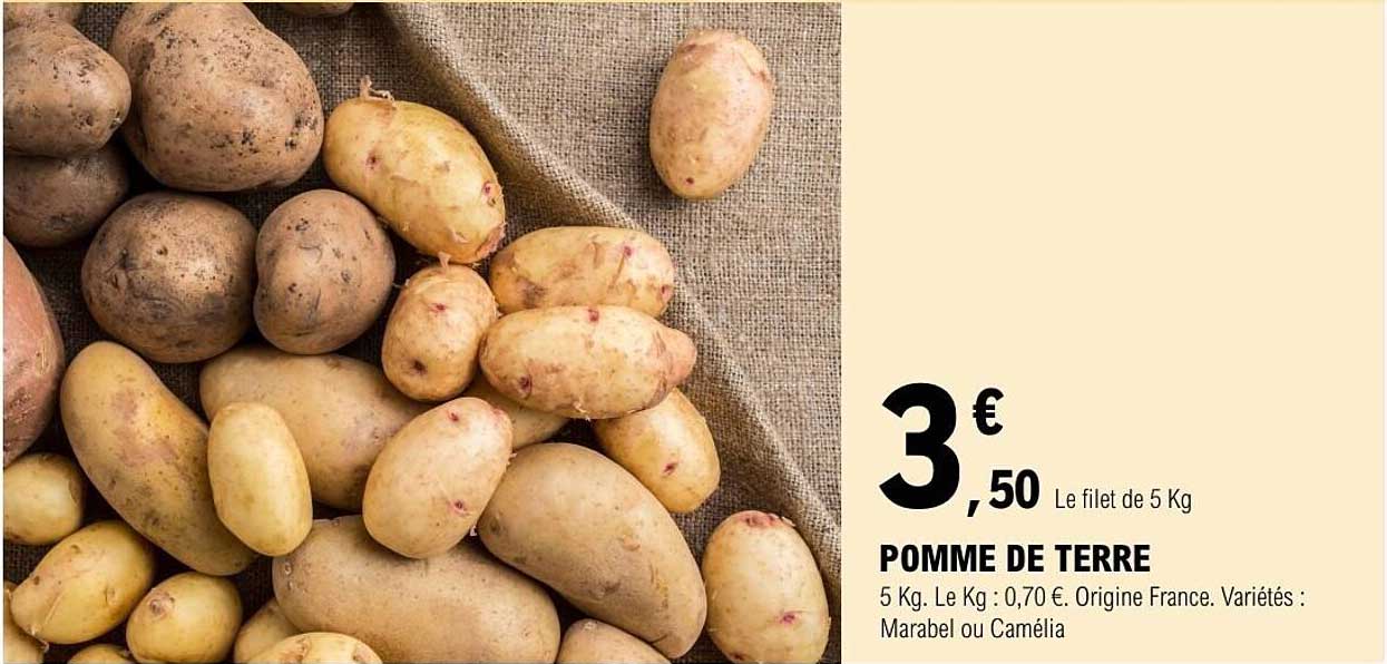 POMME DE TERRE