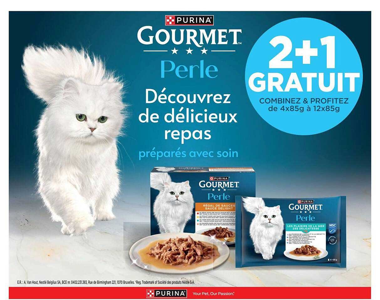 2+1 GRATUIT