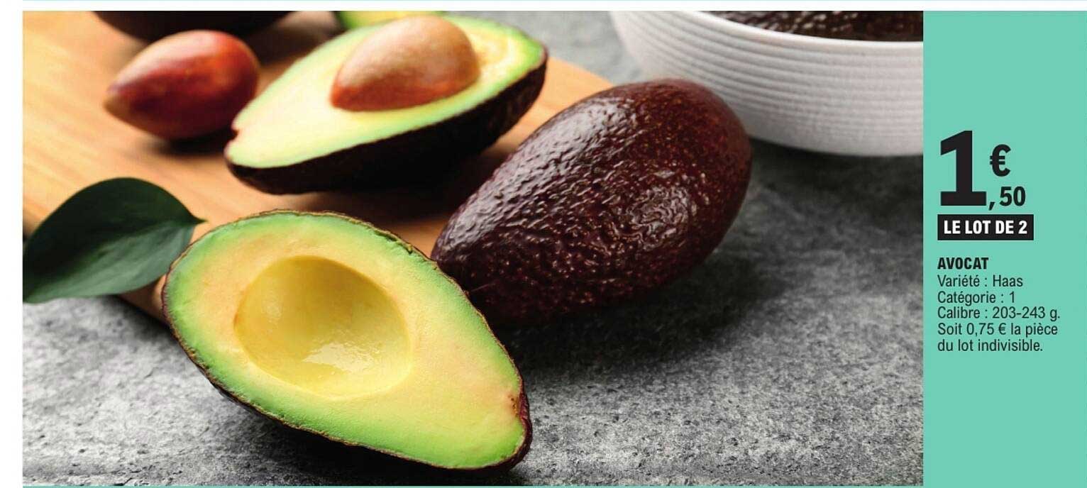 AVOCAT