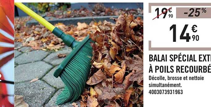 BALAI SPÉCIAL EXT À POILS RECOUVRÉ