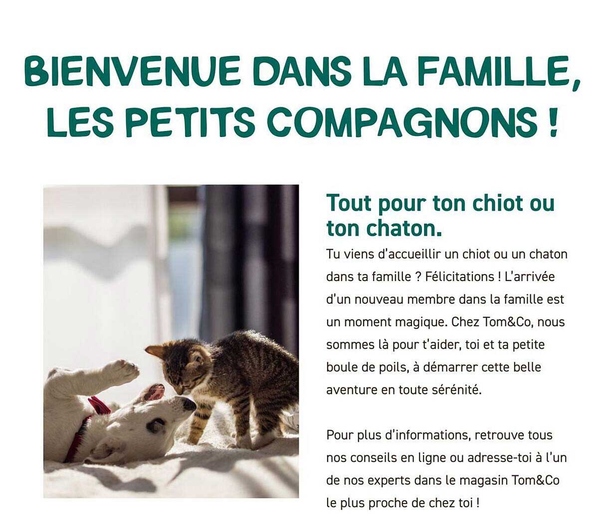 BIENVENUE DANS LA FAMILLE, LES PETITS COMPAGNONS !