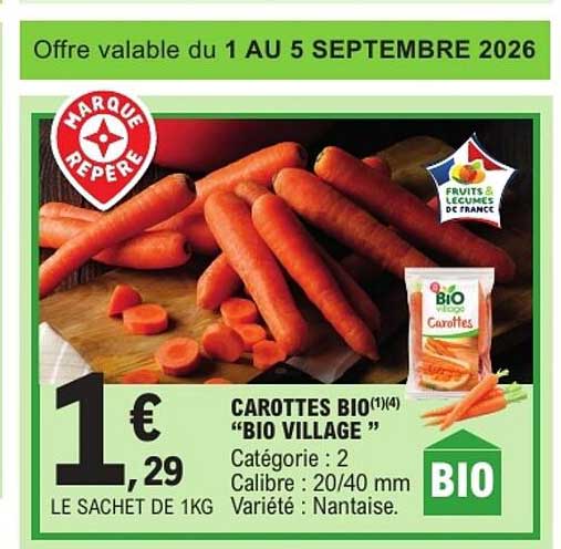CAROTTES BIO "BIO VILLAGE"