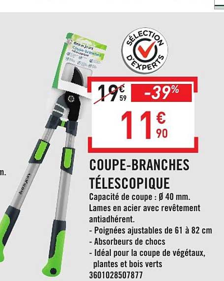 COUPE-BRANCHES TÉLESCOPIQUE