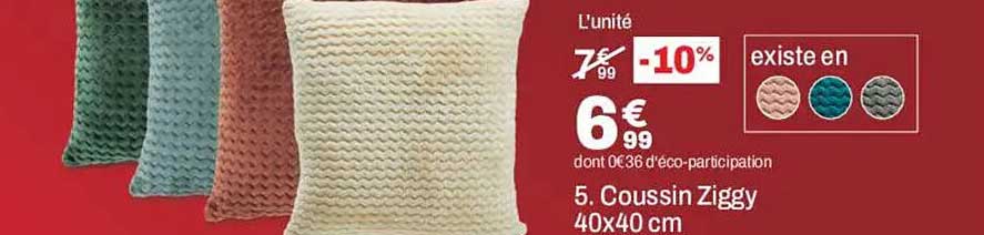 Coussin Ziggy 40x40 cm