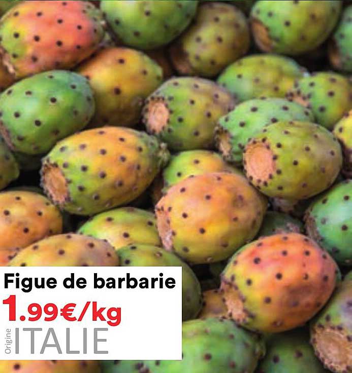 Figure de barbarie