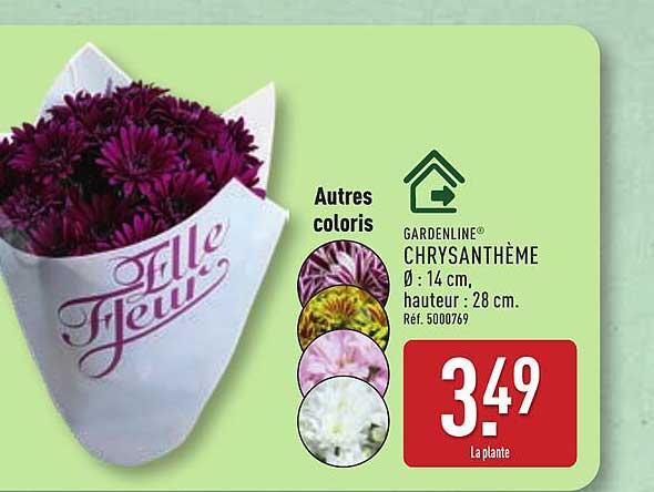 GARDENLINE® CHRYSANTHÈME Ø : 14 cm hauteur : 28 cm.