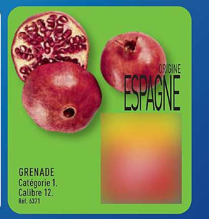GRENADES Catégorie 1. Calibre 12. Réf. 6371 ORIGINE ESPAGNE