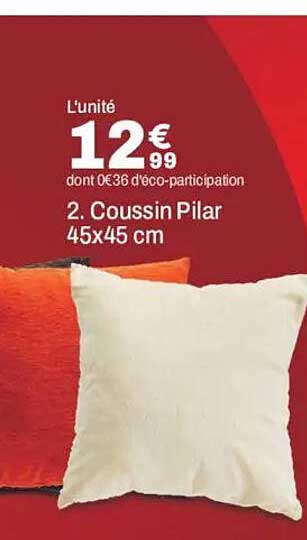 L'unité 12€99 dont 0€36 d'éco-participation 2. Coussin Pilar 45x45 cm