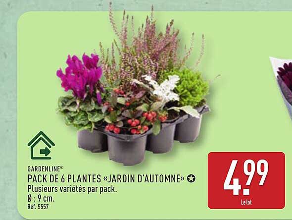 PACK DE 6 PLANTES «JARDIN D’AUTOMNE»