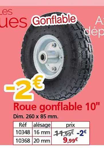 Roue gonflable 10"