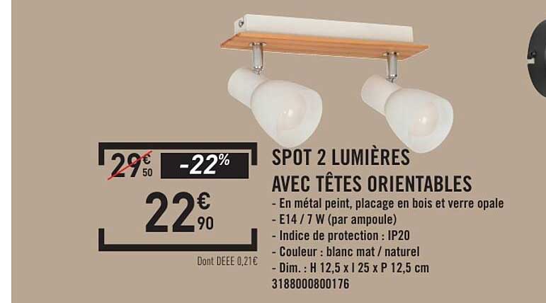 SPOT 2 LUMIÈRES AVEC TÊTES ORIENTABLES