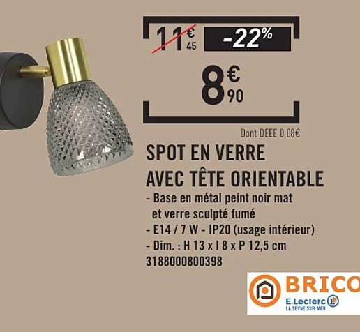 SPOT EN VERRE AVEC TÊTE ORIENTABLE