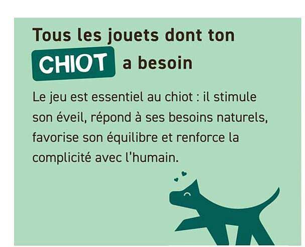 Tous les jouets dont ton CHIOT a besoin
