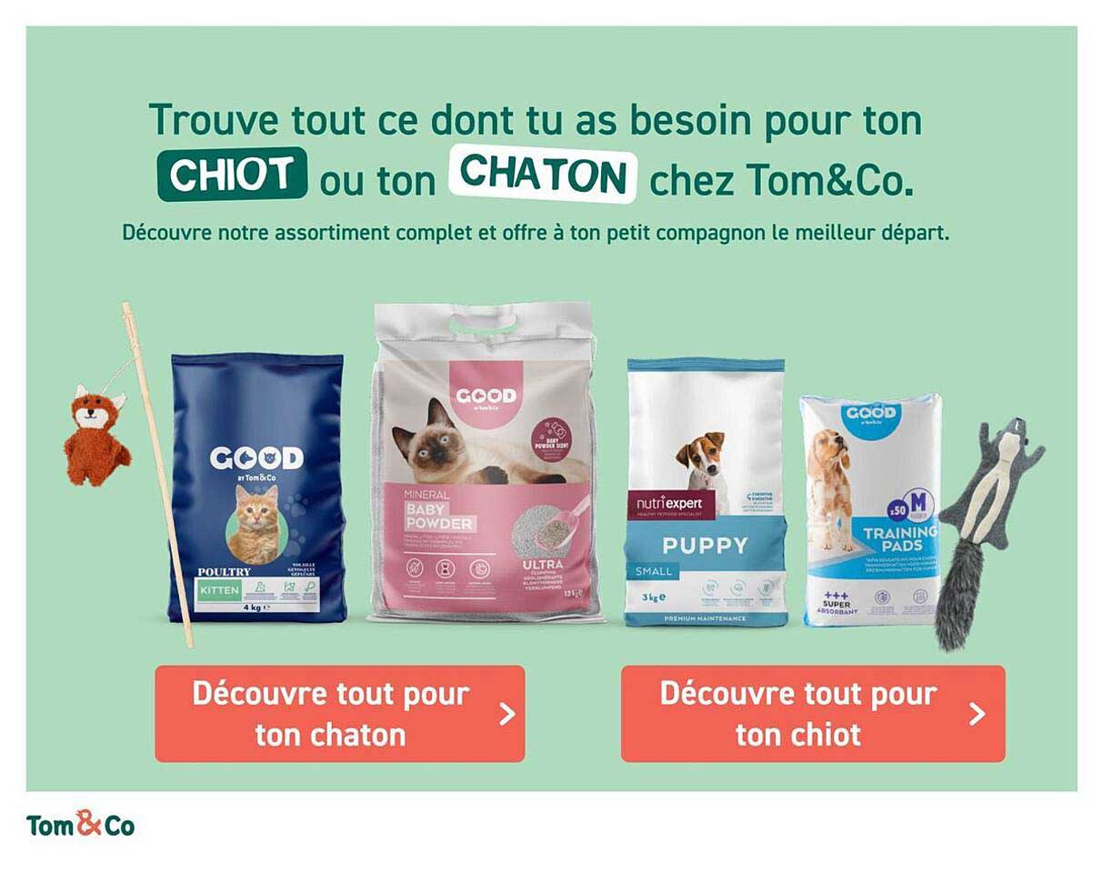 Trouve tout ce dont tu as besoin pour ton CHIOT ou ton CHATON chez Tom&Co.