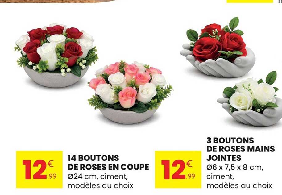 14 BOUTONS DE ROSES EN COUPE