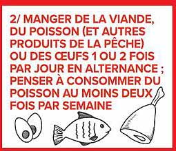 2/ MANGER DE LA VIANDE, DU POISSON (ET AUTRES PRODUITS DE LA PÊCHE) OU DES ŒUFS 1 OU 2 FOIS PAR JOUR EN ALTERNANCE ; PENSER À CONSOMMER DU POISSON AU MOINS DEUX FOIS PAR SEMAINE