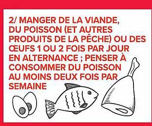 2/ MANGER DE LA VIANDE, DU POISSON (ET AUTRES PRODUITS DE LA PÊCHE) OU DES OEUFS 1 OU 2 FOIS PAR JOUR EN ALTERNANCE ; PENSER À CONSOMMER DU POISSON AU MOINS DEUX FOIS PAR SEMAINE
