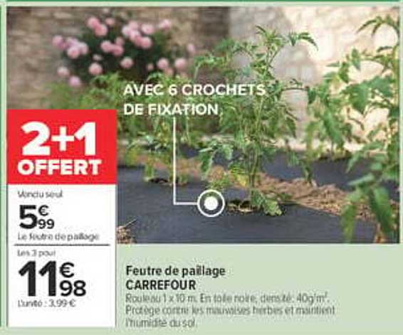 2+1 OFFERT