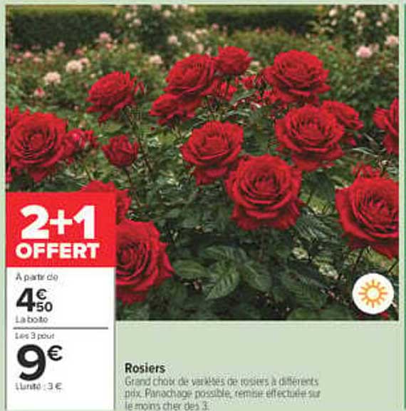 2+1 OFFERT