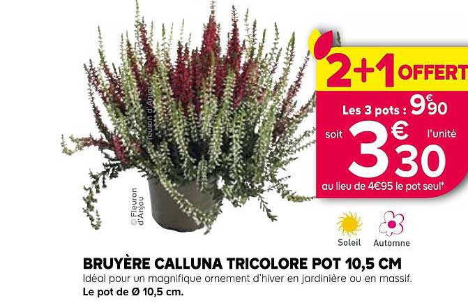 2+1 OFFERT