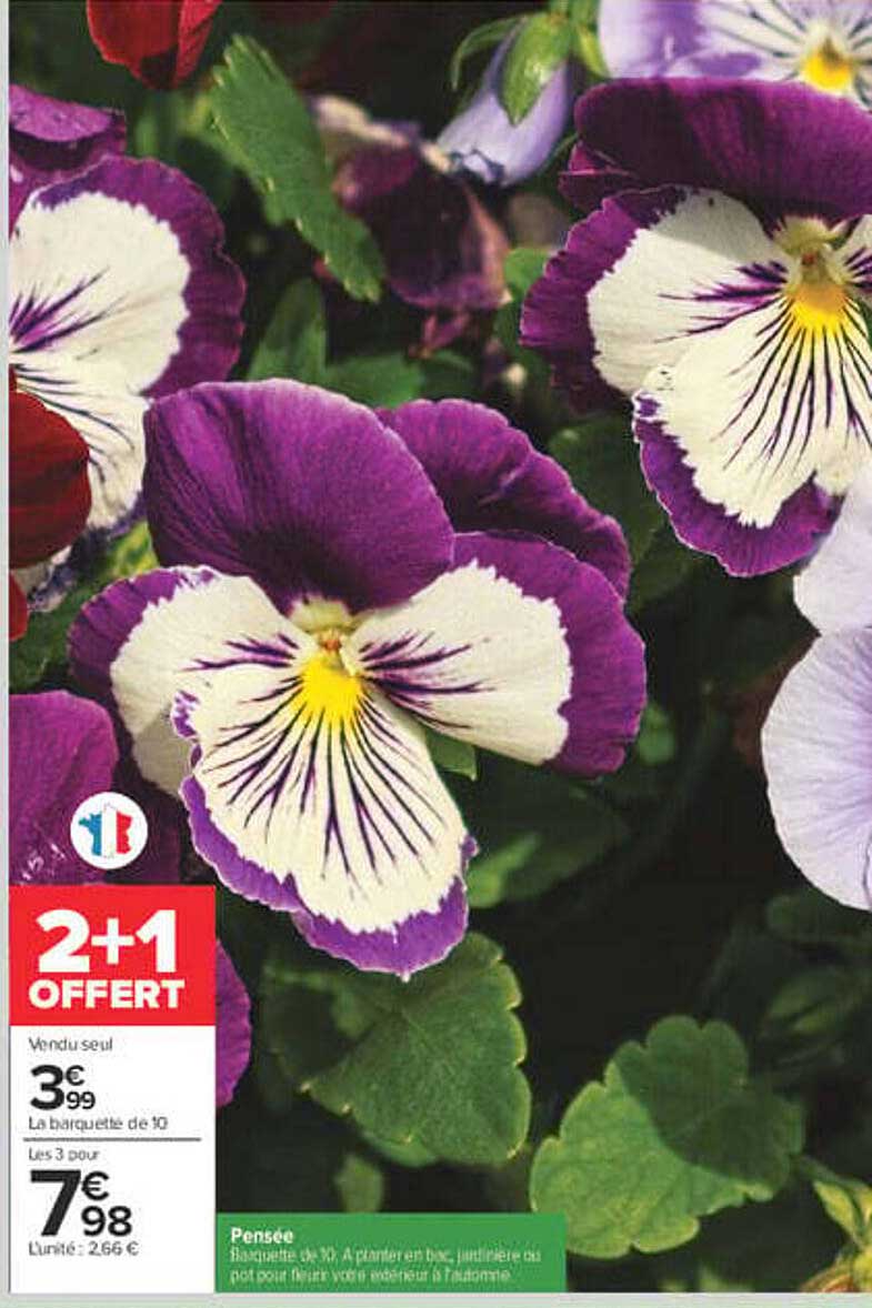 2+1 OFFERT