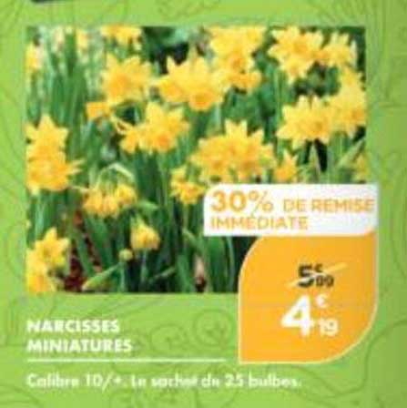 30% DE REMISE IMMÉDIATE