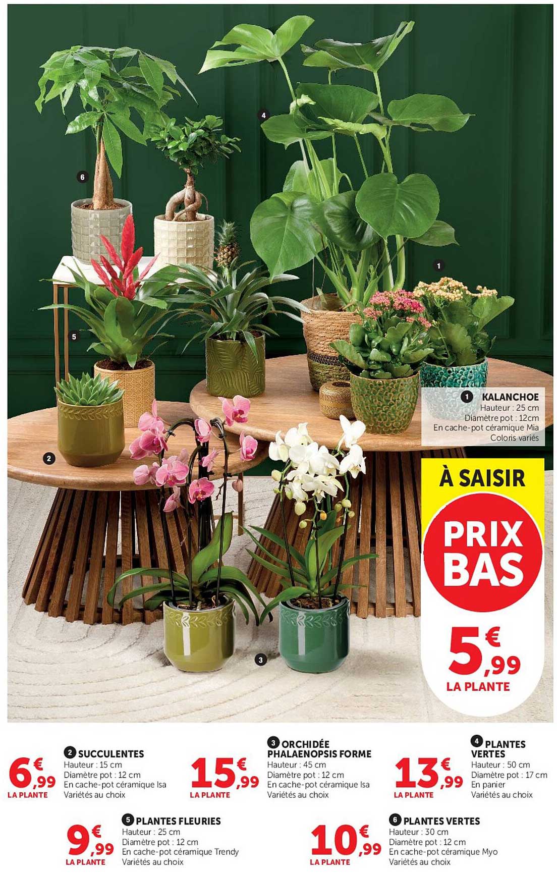À SAISIR PRIX BAS
