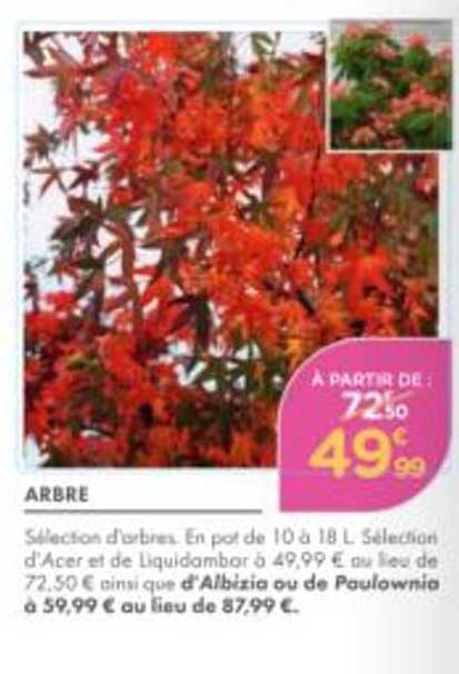 ARBRE