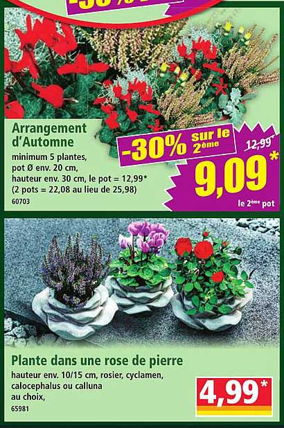 Arrangement d'Automne