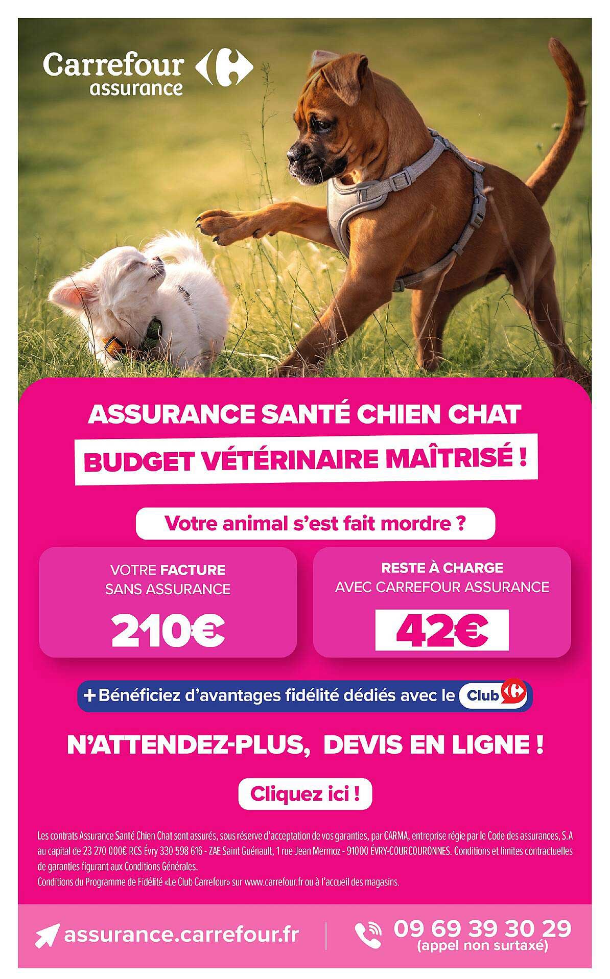 ASSURANCE SANTÉ CHIEN CHAT