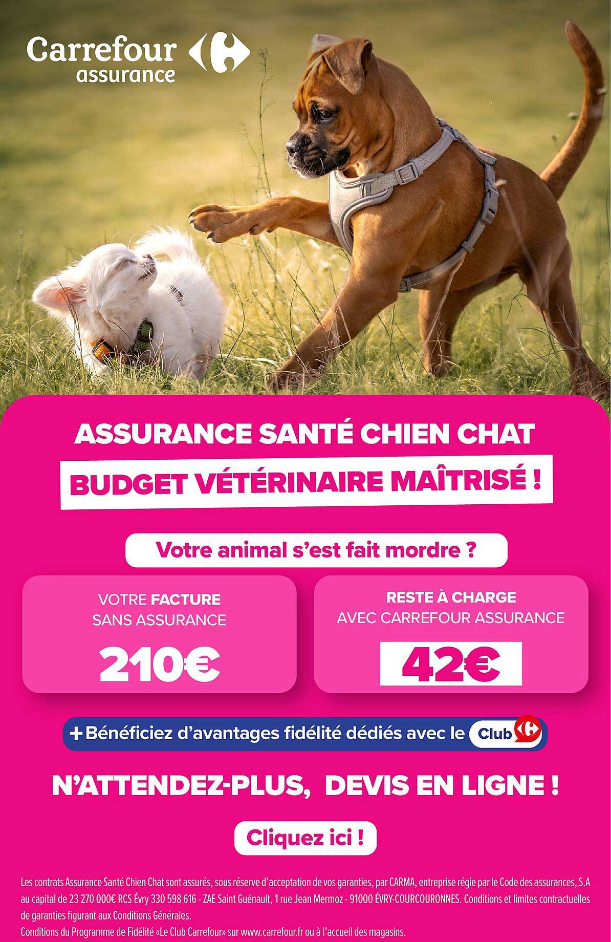 ASSURANCE SANTÉ CHIEN CHAT
