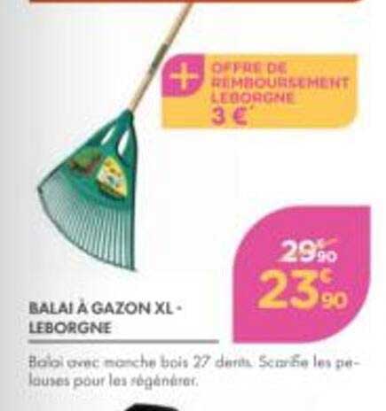 BALAI À GAZON XL - LEBORGNE